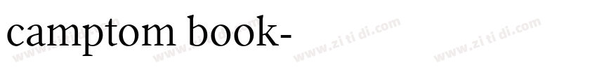 camptom book字体转换